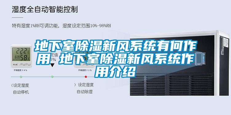 地下室除濕新風(fēng)系統有何作用 地下室除濕新風(fēng)系統作用介紹