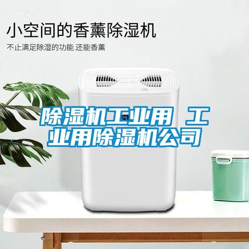 除濕機工業(yè)用 工業(yè)用除濕機公司