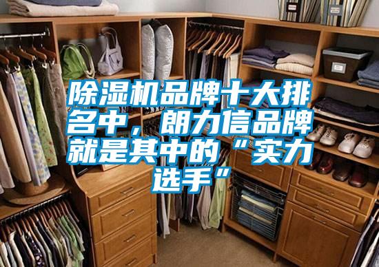 除濕機品牌十大排名中，朗力信品牌就是其中的“實(shí)力選手”