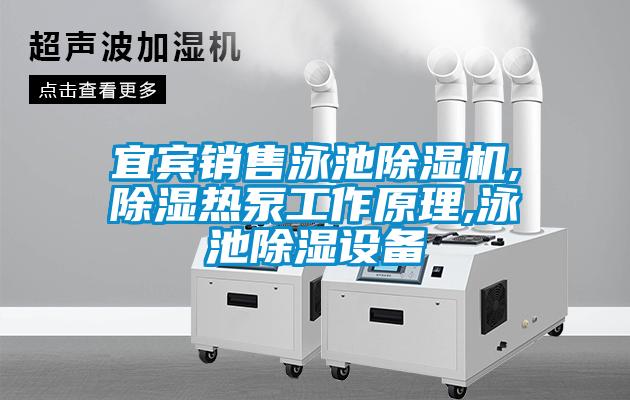 宜賓銷(xiāo)售泳池除濕機,除濕熱泵工作原理,泳池除濕設備
