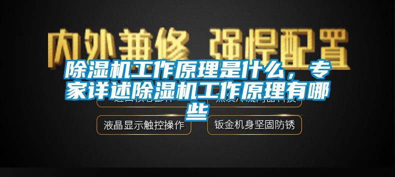 除濕機工作原理是什么，專(zhuān)家詳述除濕機工作原理有哪些