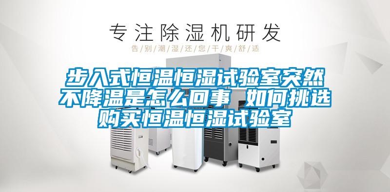 步入式恒溫恒濕試驗室突然不降溫是怎么回事 如何挑選購買(mǎi)恒溫恒濕試驗室
