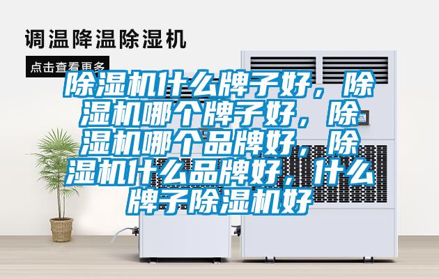 除濕機什么牌子好，除濕機哪個(gè)牌子好，除濕機哪個(gè)品牌好，除濕機什么品牌好，什么牌子除濕機好
