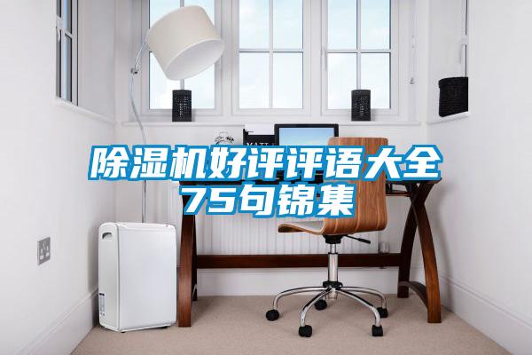 除濕機好評評語(yǔ)大全75句錦集