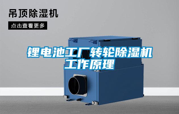 鋰電池工廠(chǎng)轉輪除濕機工作原理