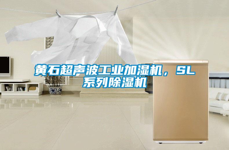 黃石超聲波工業(yè)加濕機，SL系列除濕機