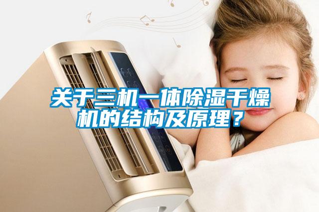 關(guān)于三機一體除濕干燥機的結構及原理？