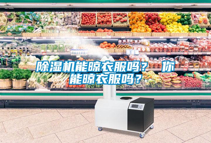 除濕機能晾衣服嗎？ 你能晾衣服嗎？