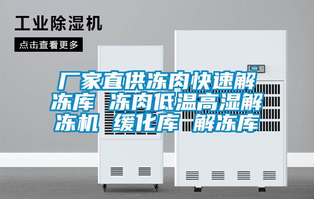 廠(chǎng)家直供凍肉快速解凍庫 凍肉低溫高濕解凍機 緩化庫 解凍庫