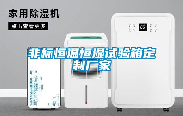 非標恒溫恒濕試驗箱定制廠(chǎng)家