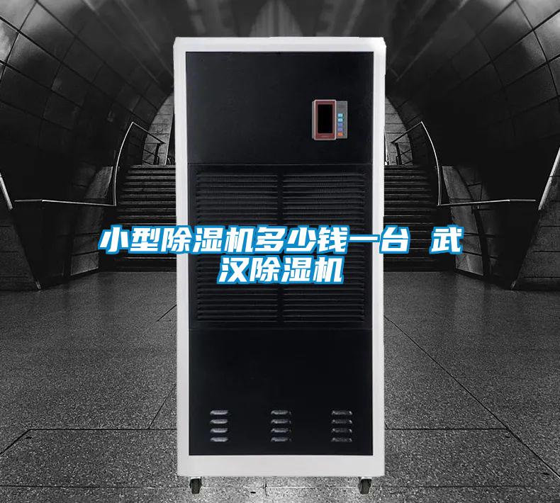 小型除濕機多少錢(qián)一臺 武漢除濕機