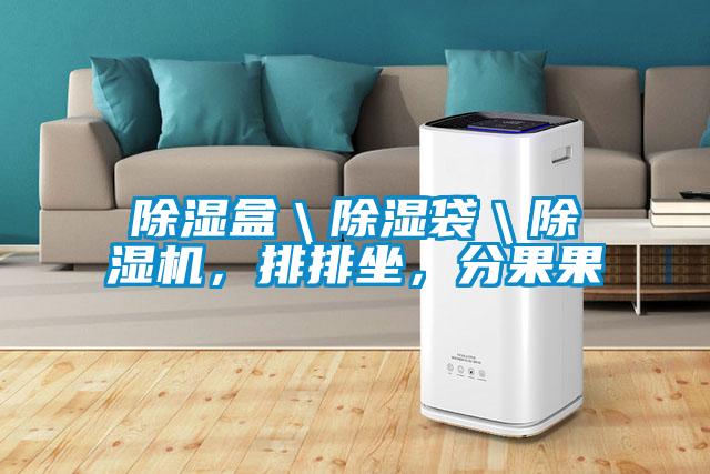 除濕盒＼除濕袋＼除濕機，排排坐，分果果