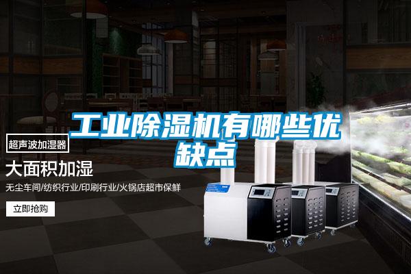 工業(yè)除濕機有哪些優(yōu)缺點(diǎn)