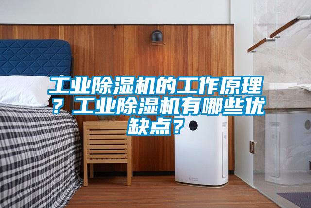 工業除濕機的工作原理？工業除濕機有哪些優缺點？