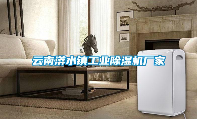 云南漭水鎮工業(yè)除濕機廠(chǎng)家