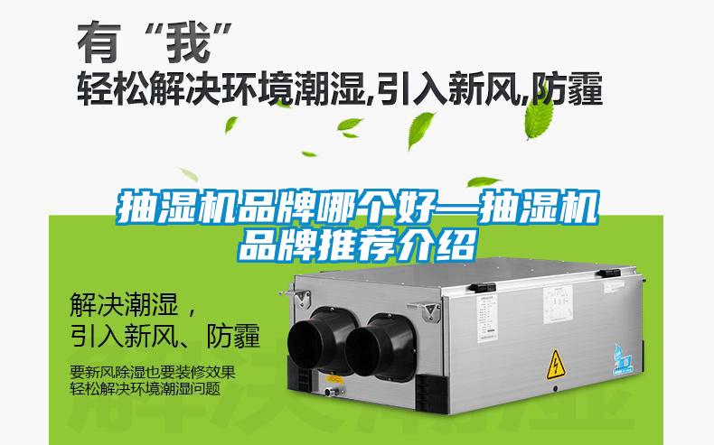 抽濕機品牌哪個(gè)好—抽濕機品牌推薦介紹