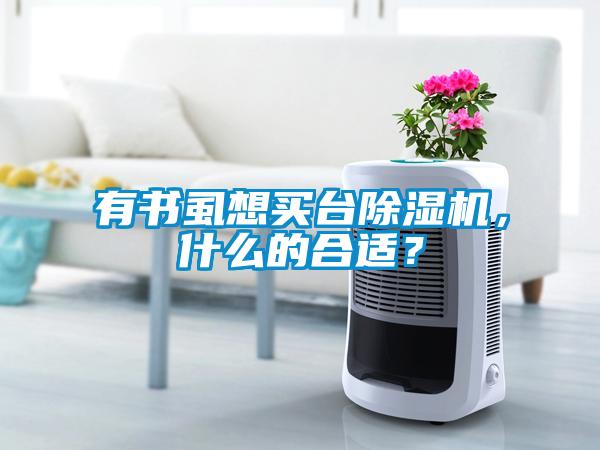 有書(shū)虱想買(mǎi)臺除濕機，什么的合適？