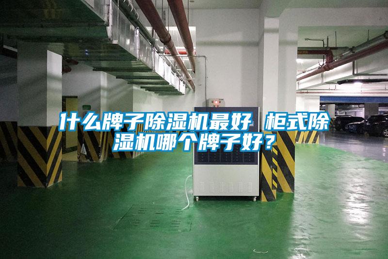 什么牌子除濕機最好 柜式除濕機哪個(gè)牌子好？