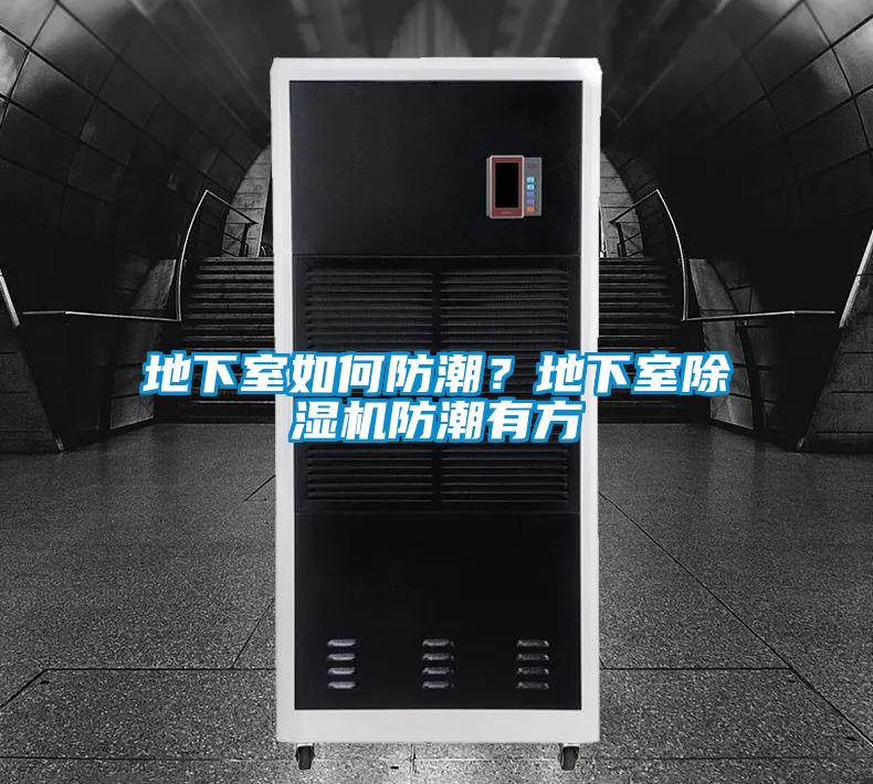 地下室如何防潮？地下室除濕機防潮有方