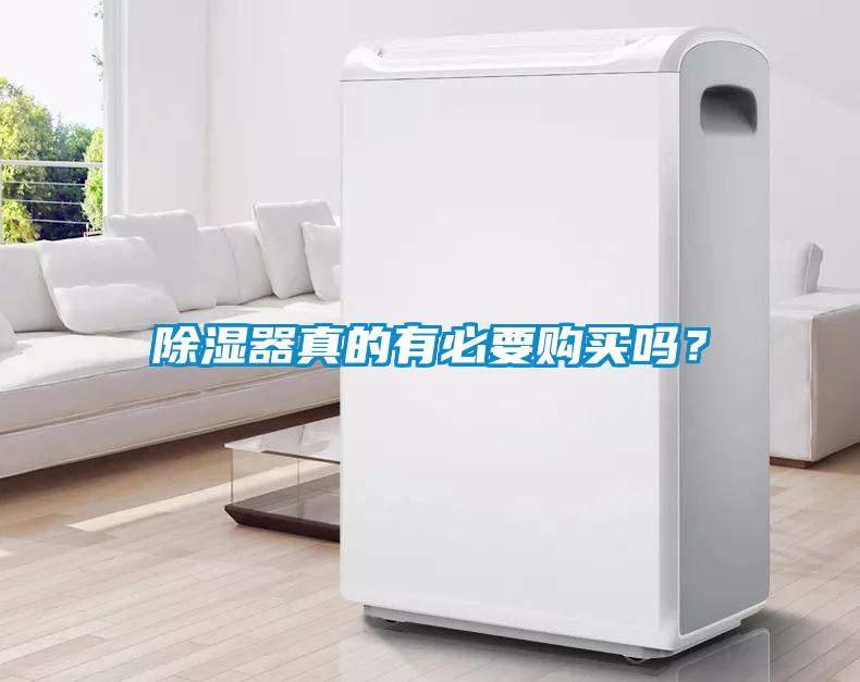 除濕器真的有必要購買(mǎi)嗎？