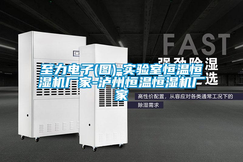 至力電子(圖)-實(shí)驗室恒溫恒濕機廠(chǎng)家-瀘州恒溫恒濕機廠(chǎng)家