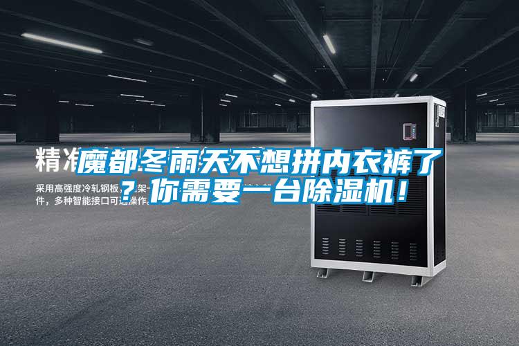 魔都冬雨天不想拼內衣褲了？你需要一臺除濕機！