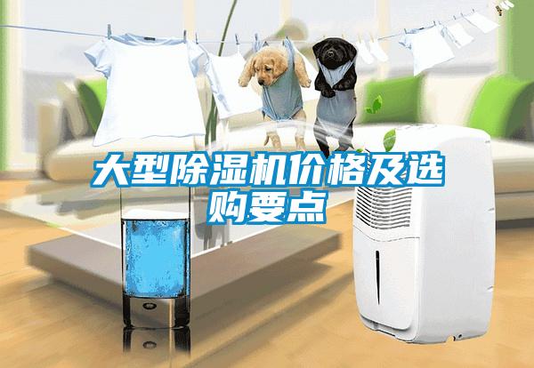 大型除濕機價(jià)格及選購要點(diǎn)