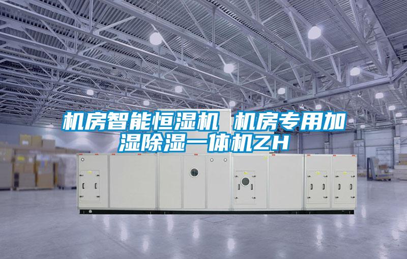 機房智能恒濕機 機房專(zhuān)用加濕除濕一體機ZH
