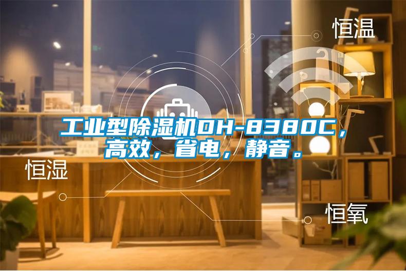 工業(yè)型除濕機DH-8380C，高效，省電，靜音。