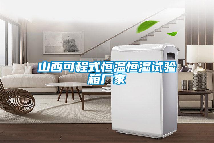 山西可程式恒溫恒濕試驗箱廠(chǎng)家
