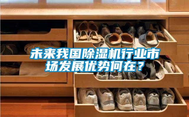 未來(lái)我國除濕機行業(yè)市場(chǎng)發(fā)展優(yōu)勢何在？