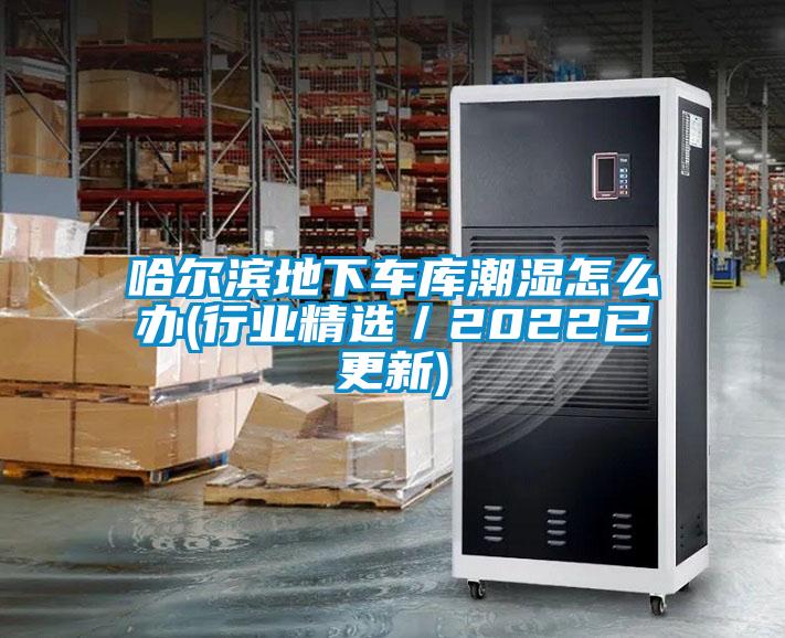 哈爾濱地下車(chē)庫潮濕怎么辦(行業(yè)精選／2022已更新)