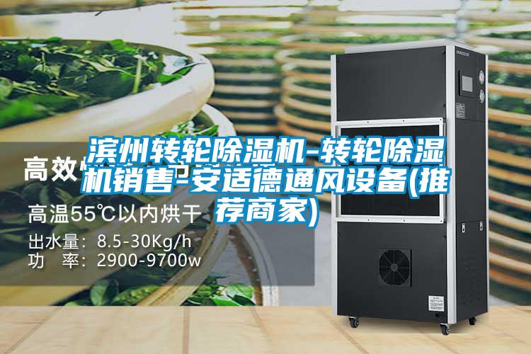 濱州轉輪除濕機-轉輪除濕機銷(xiāo)售-安適德通風(fēng)設備(推薦商家)