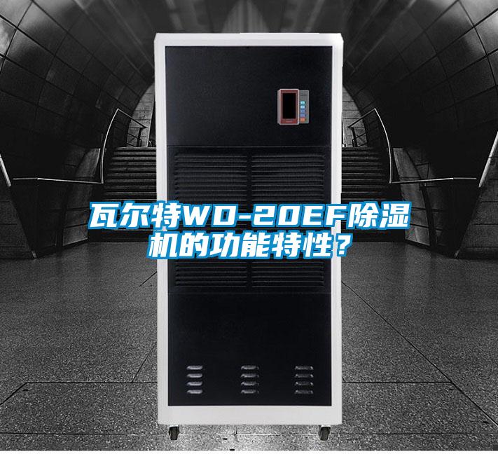 瓦爾特WD-20EF除濕機的功能特性？