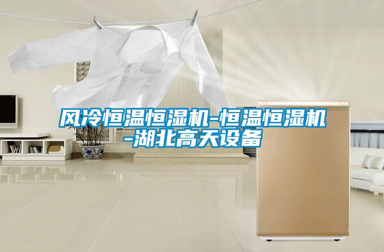 風(fēng)冷恒溫恒濕機-恒溫恒濕機-湖北高天設備