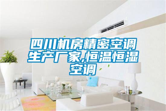 四川機房精密空調生產(chǎn)廠(chǎng)家,恒溫恒濕空調