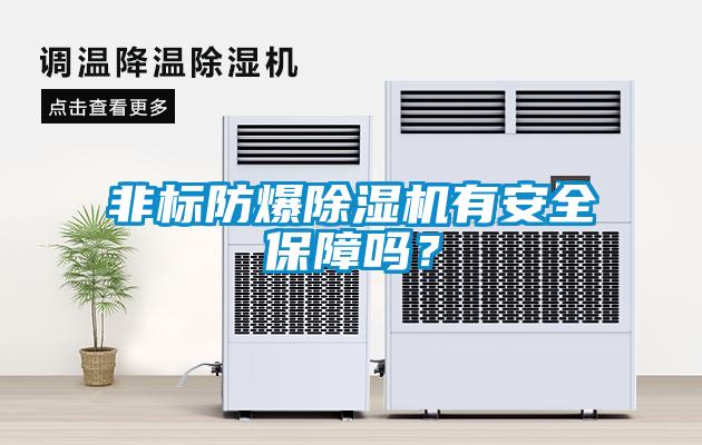 非標防爆除濕機有安全保障嗎？