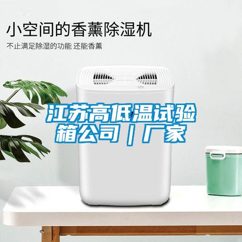 江蘇高低溫試驗箱公司｜廠(chǎng)家