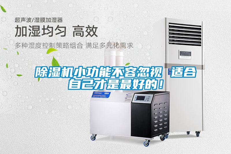 除濕機小功能不容忽視 適合自己才是最好的！