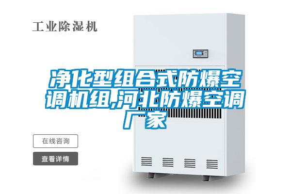 凈化型組合式防爆空調機組,河北防爆空調廠(chǎng)家