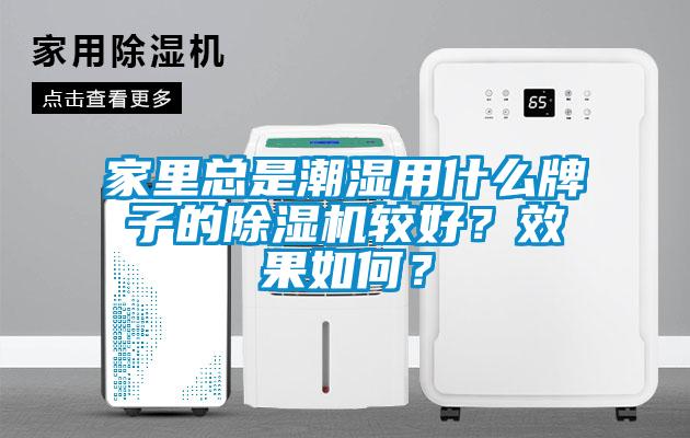 家里總是潮濕用什么牌子的除濕機較好？效果如何？