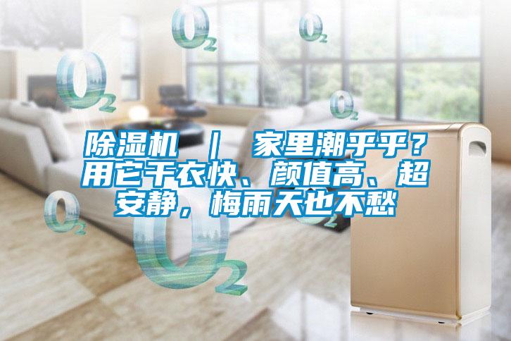 除濕機 ｜ 家里潮乎乎？用它干衣快、顏值高、超安靜，梅雨天也不愁