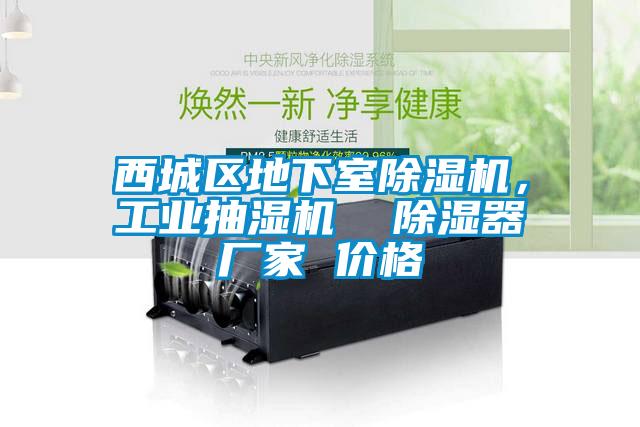 西城區地下室除濕機，工業(yè)抽濕機  除濕器廠(chǎng)家 價(jià)格