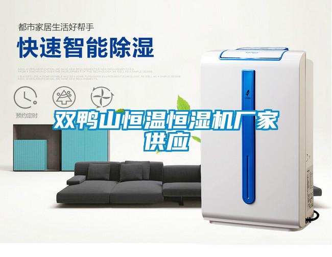 雙鴨山恒溫恒濕機廠(chǎng)家供應