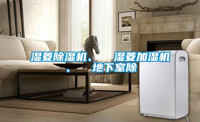 濕菱除濕機、  濕菱加濕機、  地下室除