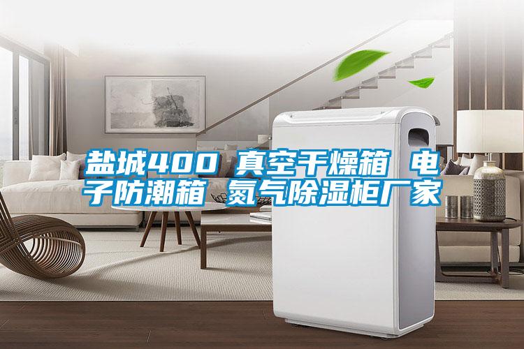 鹽城400℃真空干燥箱 電子防潮箱 氮氣除濕柜廠(chǎng)家
