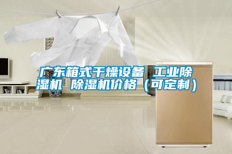 廣東箱式干燥設備 工業(yè)除濕機 除濕機價(jià)格（可定制）