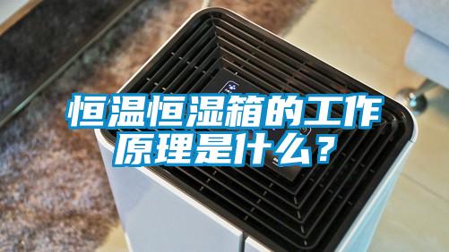 恒溫恒濕箱的工作原理是什么？