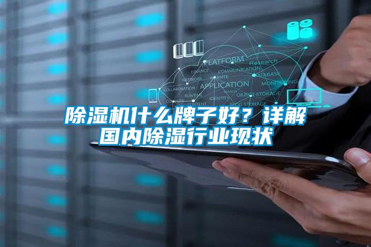 除濕機什么牌子好？詳解國內除濕行業(yè)現狀