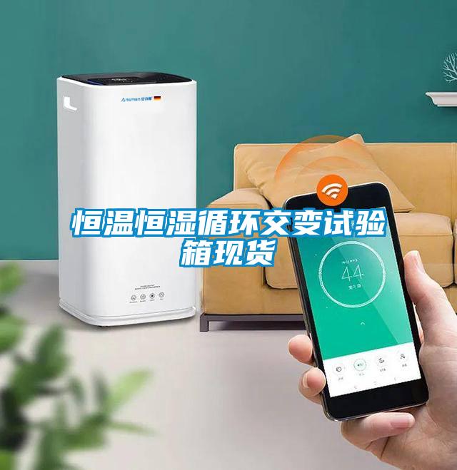 恒溫恒濕循環(huán)交變試驗箱現貨